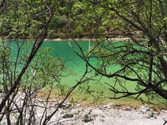 -稻城亚丁景区-冲古草甸