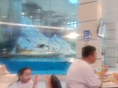 -帝企鹅自助餐厅•儿童岛•真企鹅(长隆企鹅酒店)