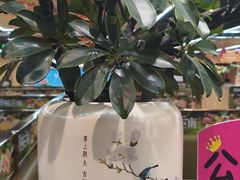 -海底捞火锅(新凤展广场店)