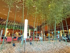 -北京望京凯悦酒店The Lounge大堂酒廊