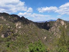-大岭沟猕猴桃谷风景区