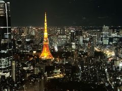 -六本木新城展望台(东京城市景观)