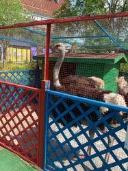 -萌宠亲子动物乐园(槐房万达店)