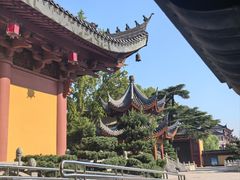 -上海东林寺(金山区)