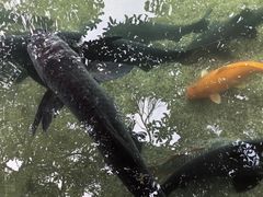 -杭州植物园