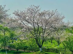 -凤凰沟景区