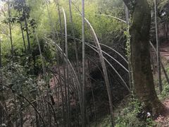 -西湖风景区十里琅珰-五云山