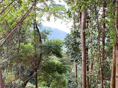 -阳台山森林公园