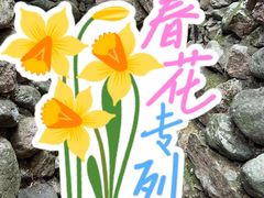 -鄣山大峡谷