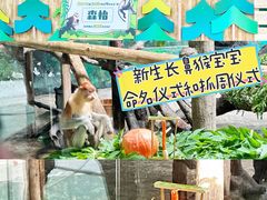 -广州长隆野生动物世界
