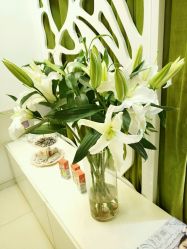 -Yue Show馨选·半永久纹眉纹眼线