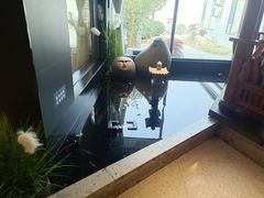 -渝乡辣婆婆·川菜 水煮鱼(安平店)