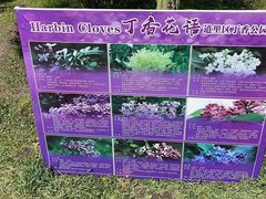 -群力丁香公园