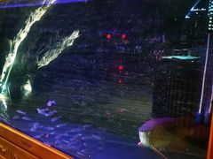 -赫石少儿体能馆(奥森店)