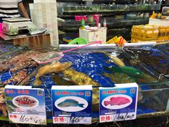水产区-三亚新鸿港水果一级批发市场