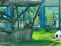 -大连森林动物园