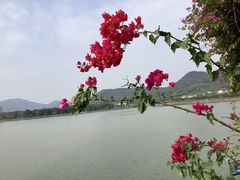 -风云岭森林公园