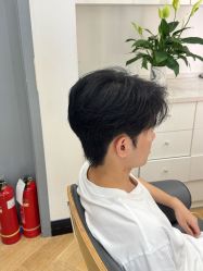 -YESIDO椰岛造型