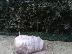 -双拥公园
