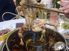 鲜活牛蛙-蛙两只美蛙鱼头火锅(恒茂店)