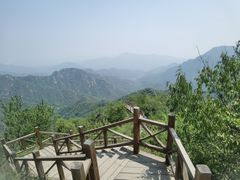 -大岭沟猕猴桃谷风景区