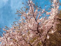 -吴淞炮台湾湿地森林公园烧烤区