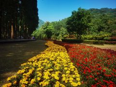 -青城山