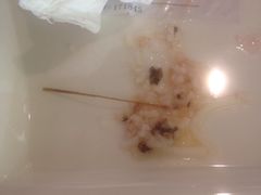 -桥香园正宗过桥米线(机场五店)