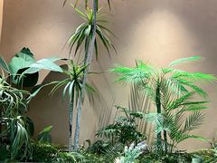 -奈雪的茶(广州万菱汇PRO店)