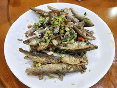 -全乐鱼馆·淳牌有机鱼直营店