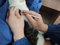 -爱派特动物医院·全科诊疗中心