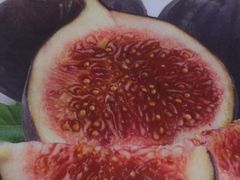 -德克士(宽甸店)