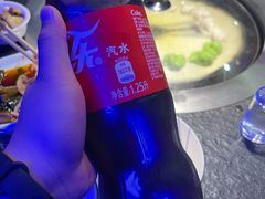 -挂雪铁锅炖大鹅