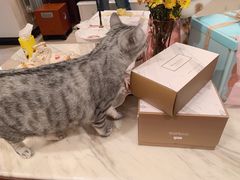 -勒甜LO CHO·私人订制低糖代糖纯动物奶油生日蛋糕(新开路店)