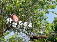 -南翠屏公园