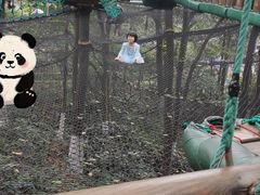 -天鹿湖森林公园