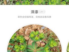 -秦始皇帝陵博物院-丽山园