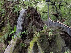 -金鸡山公园
