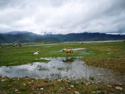 -纳帕海依拉草原