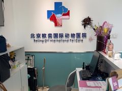 -欧奕国际动物医院