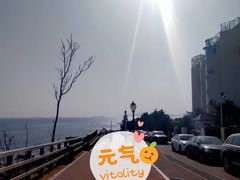 -燕儿岛山公园