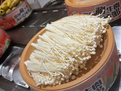 -龍歌自助小火锅(漳州二路爱购店)