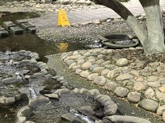 -成都市活水公园