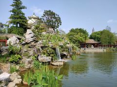 -顺峰山公园