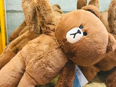 -line friends(明洞旗舰店)
