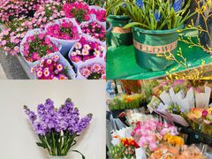 -溪岸路花鸟市场