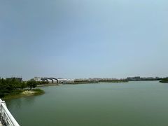 -贡湖湾湿地公园
