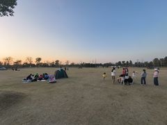 -上海长兴岛郊野公园