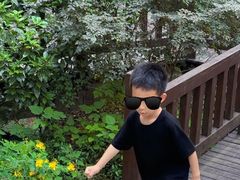 -上海佘山国家森林公园天马山园