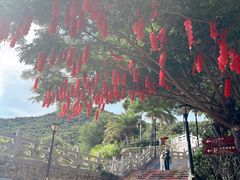 -三亚亚龙湾天域度假酒店